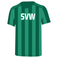 Werder Bremen-logo