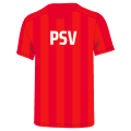 PSV Eindhoven-logo