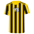 Young Boys-logo